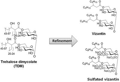 Maintenance of homeostasis by TLR4 ligands